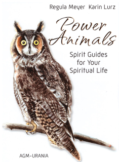 Power Animals Cards